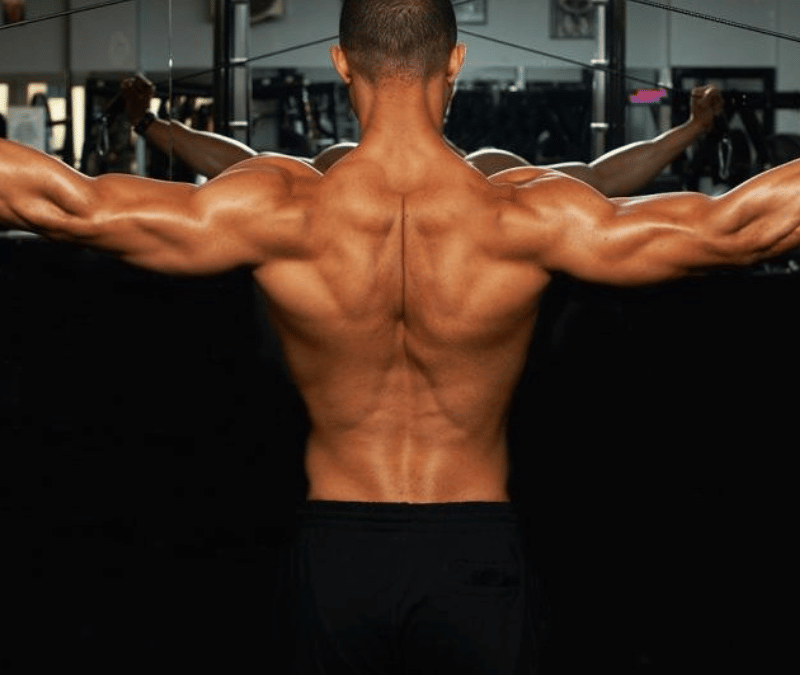Ryg anatomi –  8 effektive træningsøvelser til ryg muskler