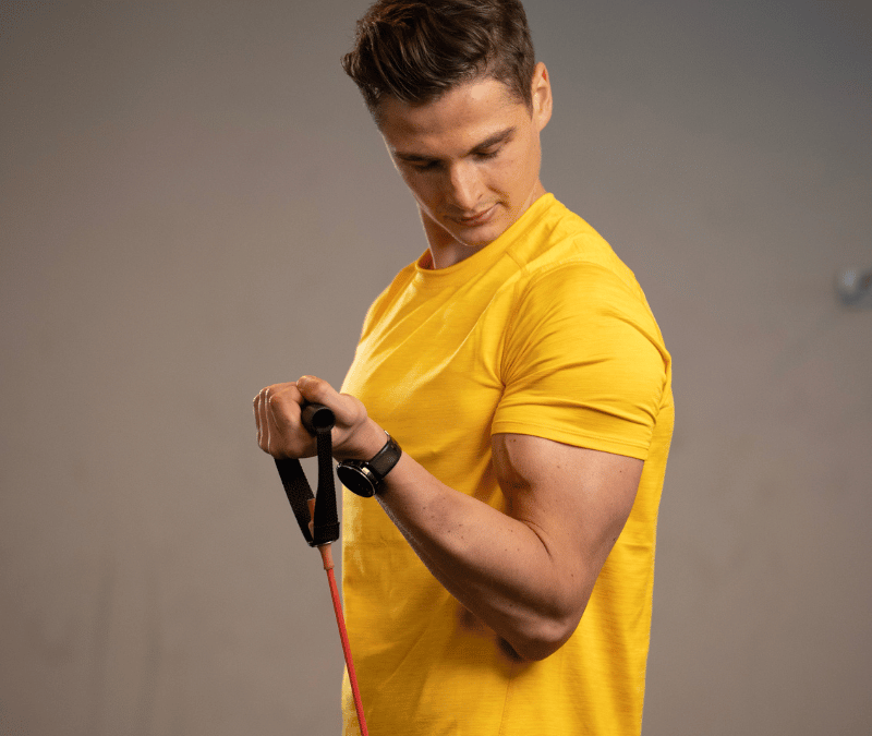 Biceps & underarm anatomi –  5 effektive træningsøvelser til biceps muskler