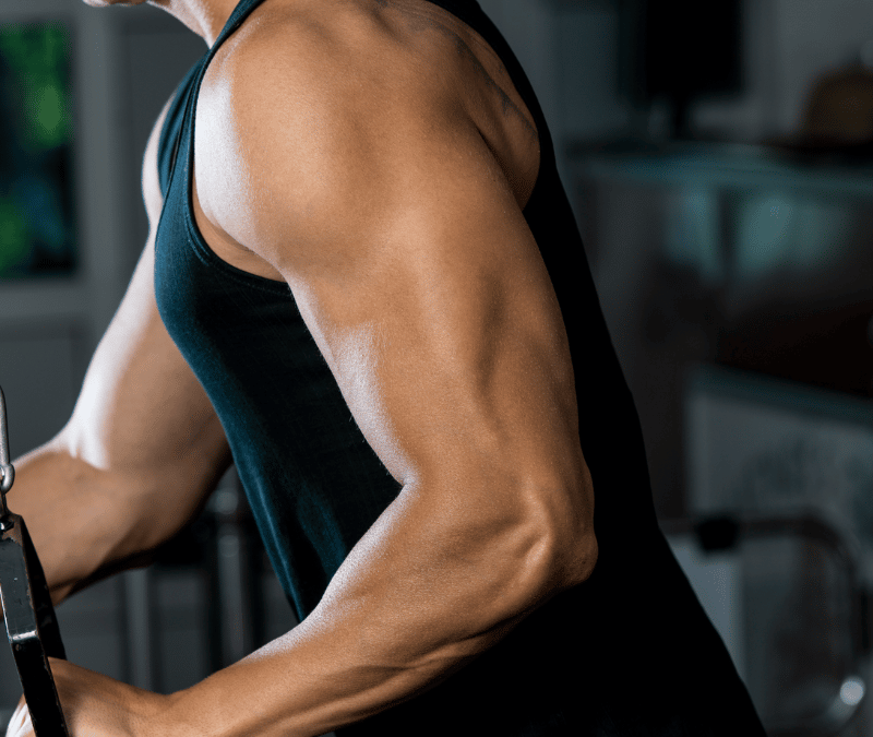 Triceps anatomi – 3 triceps øvelser til større & flottere arme