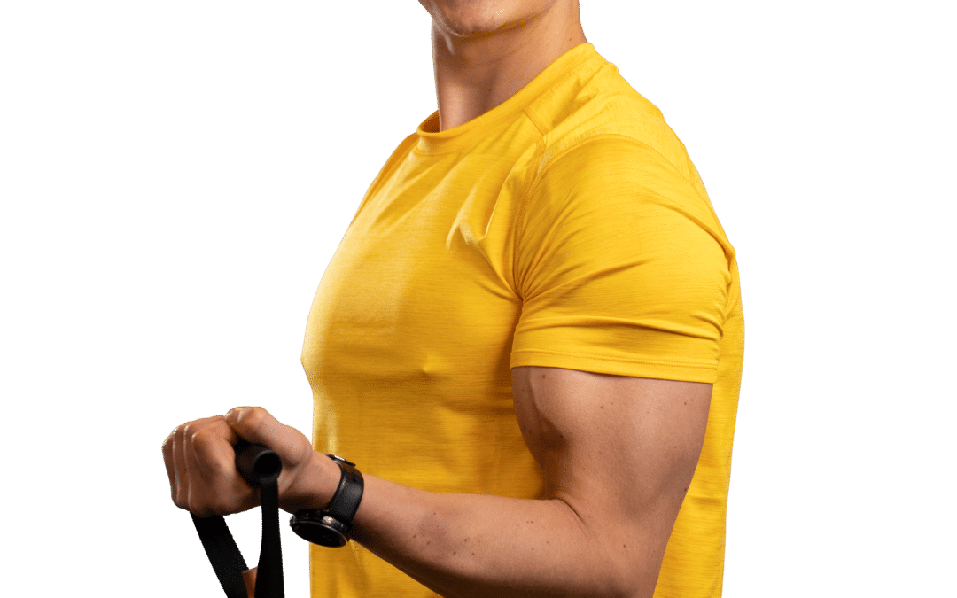 Biceps & underarm anatomi – De bedste øvelser til bicepstræning – Effektiv og optimal til større bicepsmuskler