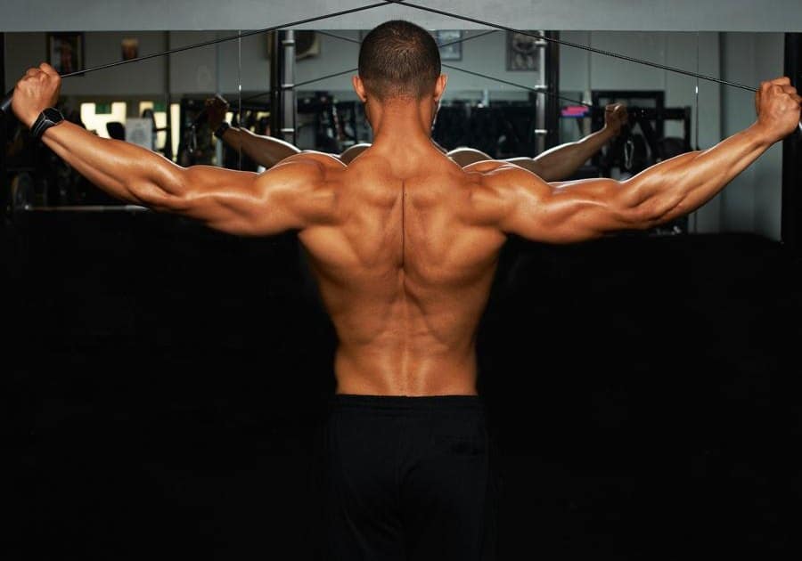 muscular-back of male working out